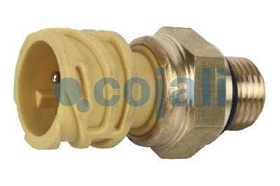 KARTER YAĞ BASINÇ SENSÖRÜ