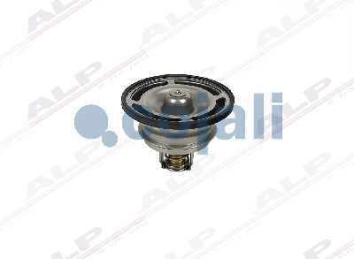 TERMOSTAT EURO 5 - 82C