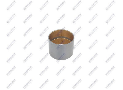 BEYİN DİŞLİ BURCU