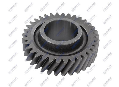 3.VİTES DİŞLİSİ