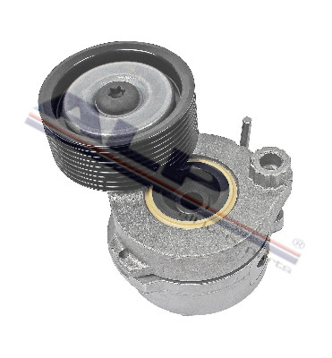 KAYIŞ GERGİ KASNAĞI