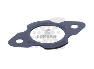EGZOZ MANİFOLD CONTASI (Y.M) DC13