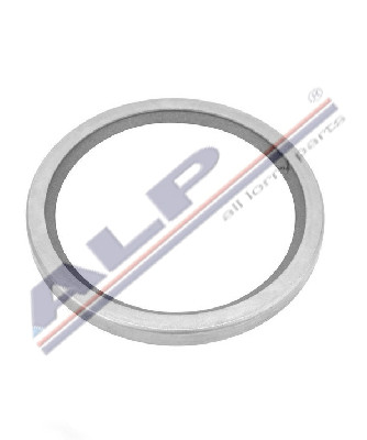 TERMOSTAT KEÇESİ