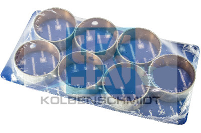 EKSANTRİK YATAK STD