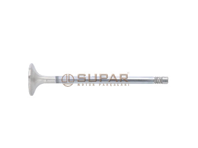 SUBAP IN