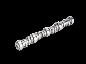 EKSANTRİK MİLİ DCI11