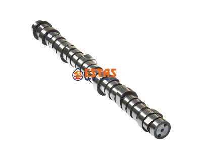 EKSANTRİK MİLİ D13A EURO 5