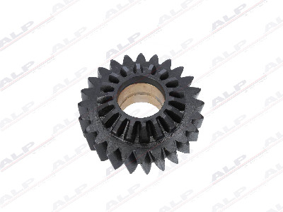 BEYİN DİŞLİSİ 24 DİŞ